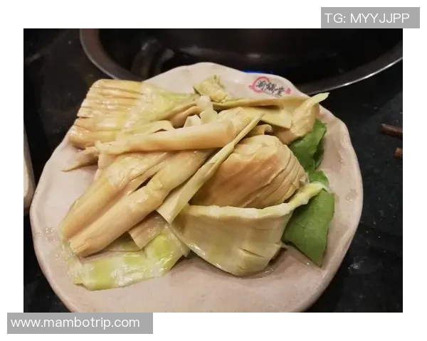 深度对话陈敏篮球人生的启示与成长之路探索