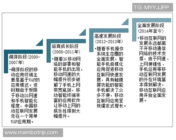 深圳篮球队的节奏革新探索与未来发展之路分析 深圳篮球队的节奏革新探索与未来发展之路分析