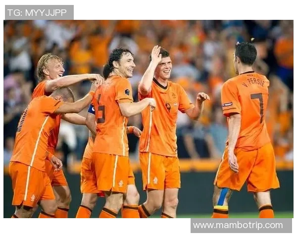 荷兰足球传奇之路：从小球场到世界舞台的明星崛起