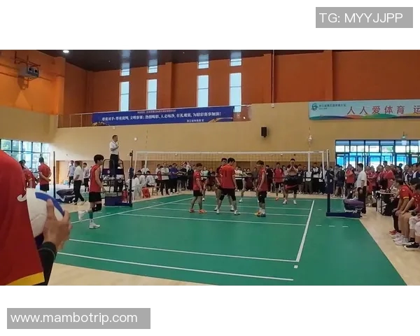 杭州排球队个人能力分析与发展潜力探讨 杭州排球队个人能力分析与发展潜力探讨