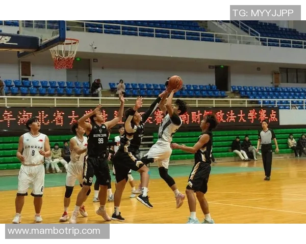 武汉篮球队在篮球团队协作排行榜中荣获第六名展现团队精神与实力 武汉篮球队在篮球团队协作排行榜中荣获第六名展现团队精神与实力