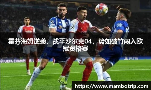 霍芬海姆逆袭，战平沙尔克04，势如破竹闯入欧冠资格赛