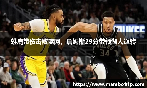 雄鹿带伤击败篮网，詹姆斯29分带领湖人逆转