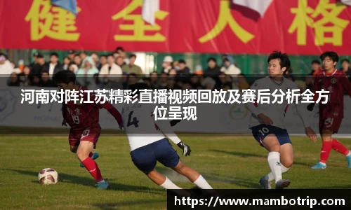 河南对阵江苏精彩直播视频回放及赛后分析全方位呈现