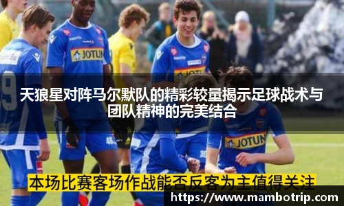 天狼星对阵马尔默队的精彩较量揭示足球战术与团队精神的完美结合