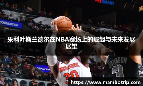 朱利叶斯兰德尔在NBA赛场上的崛起与未来发展展望