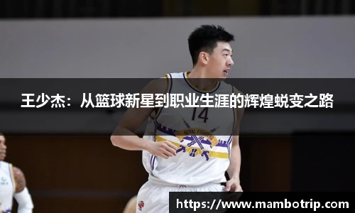 王少杰：从篮球新星到职业生涯的辉煌蜕变之路