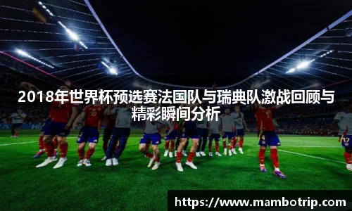 2018年世界杯预选赛法国队与瑞典队激战回顾与精彩瞬间分析